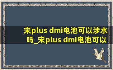 宋plus dmi电池可以涉水吗_宋plus dmi电池可以循环多少次